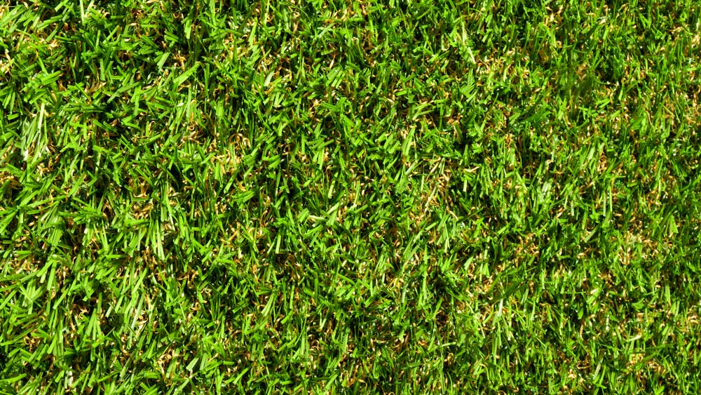 Chique-műfű-.jpg-1000